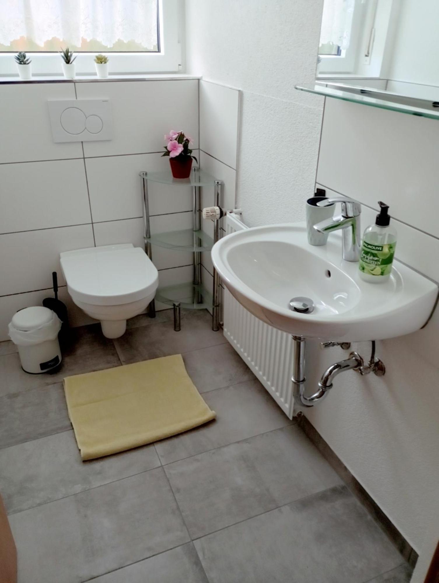 Haemmerle Fewo Holiday Apartment - Green Konstanz Kültér fotó
